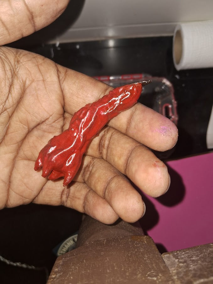 JJK sukuna's finger